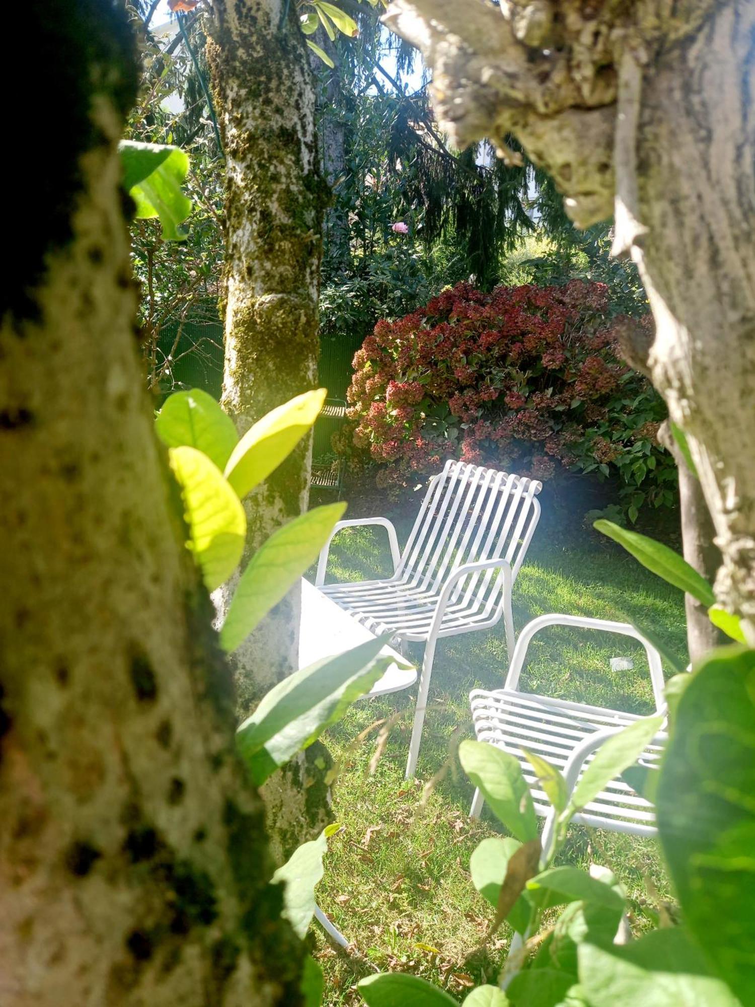 A Casa Di Dora Bed & Breakfast Treviso Exterior photo