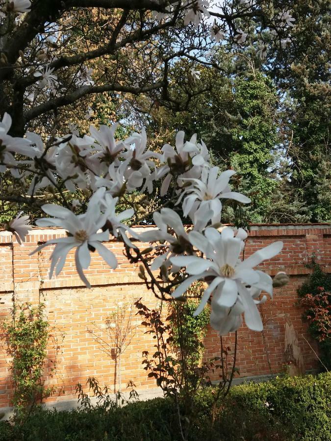 A Casa Di Dora Bed & Breakfast Treviso Exterior photo