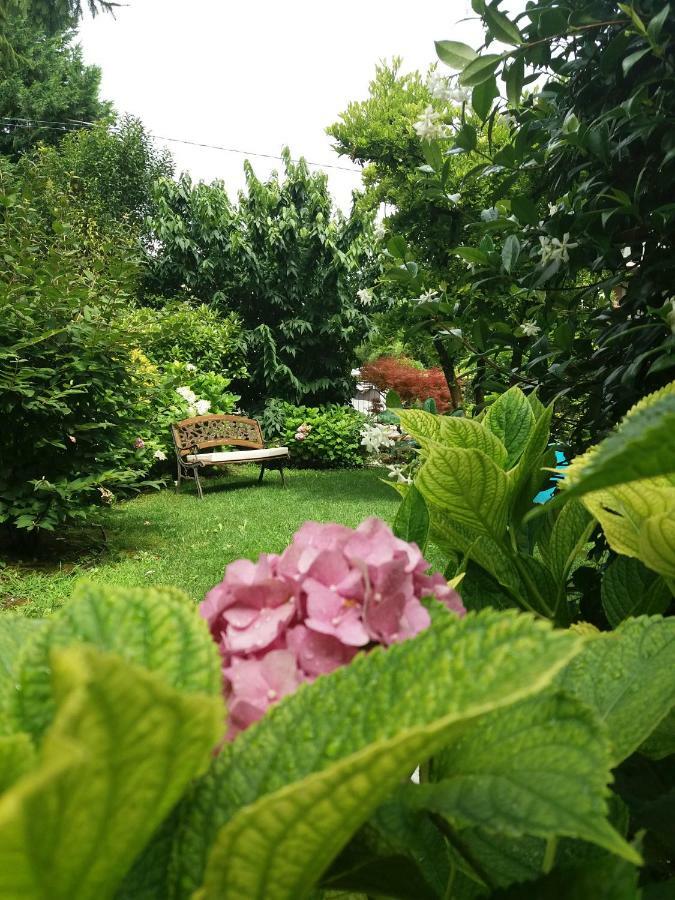 A Casa Di Dora Bed & Breakfast Treviso Exterior photo